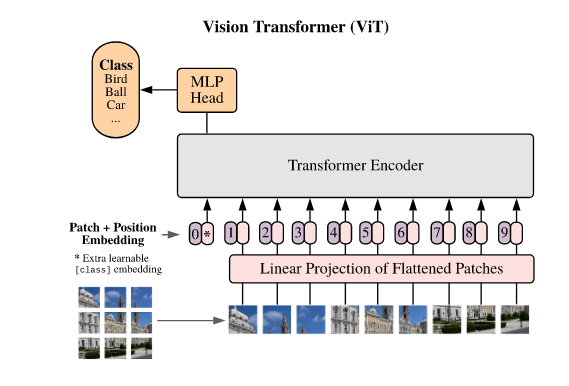 ViT structure